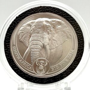 2020 1 oz Platinum South African Big