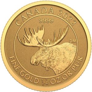 1/4 oz Canadian Gold Moose Reverse
