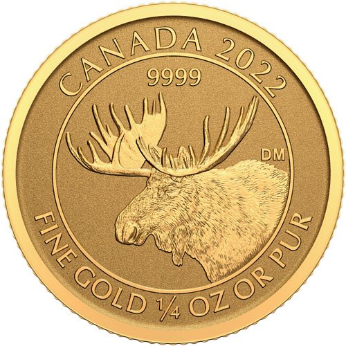 1/4 oz Canadian Gold Moose Reverse