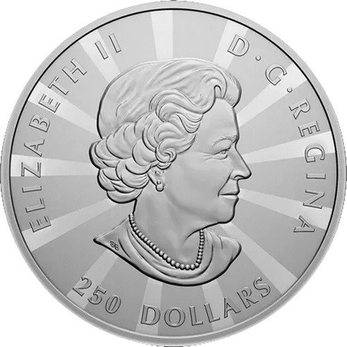 2023 1 Kilo Proof Canadian Silver Multifaceted Maple Leaf Coin - Image 2
