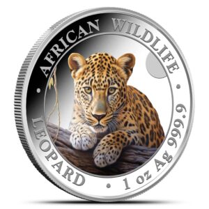 1 oz Colorized Somalia Silver Africa
