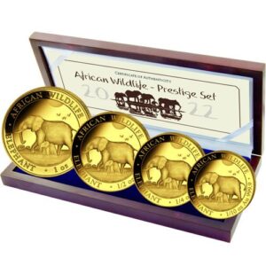 Somalia Gold Elephant African Wildli