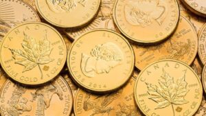 Read more about the article Canadian Gold Maples