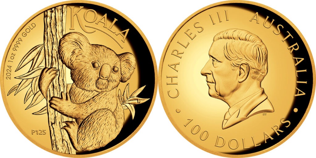 Australian Gold Koalas